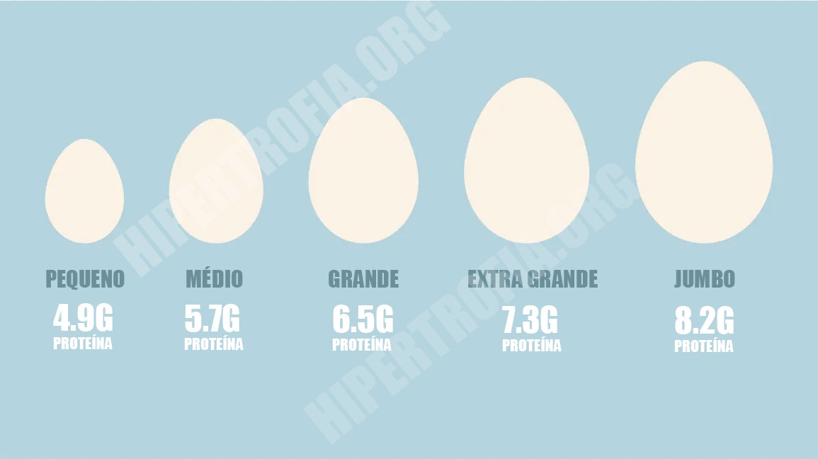 infográfico mostrando quanta proteína um ovo inteiro contém para cada tamanho aproximado de ovo