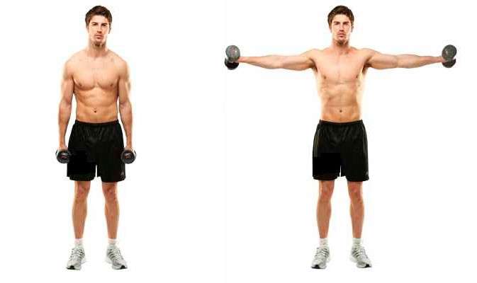 M7 Fitness - Elevação lateral no cabo ou com HALTER, o que é melhor? Na elevação  lateral o músculos principal é a porção lateral do deltoide, e o deltóide  posterior, trapézio, supra-espinal