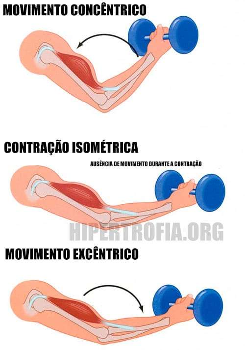 O que faz o músculo crescer carga ou repetição?