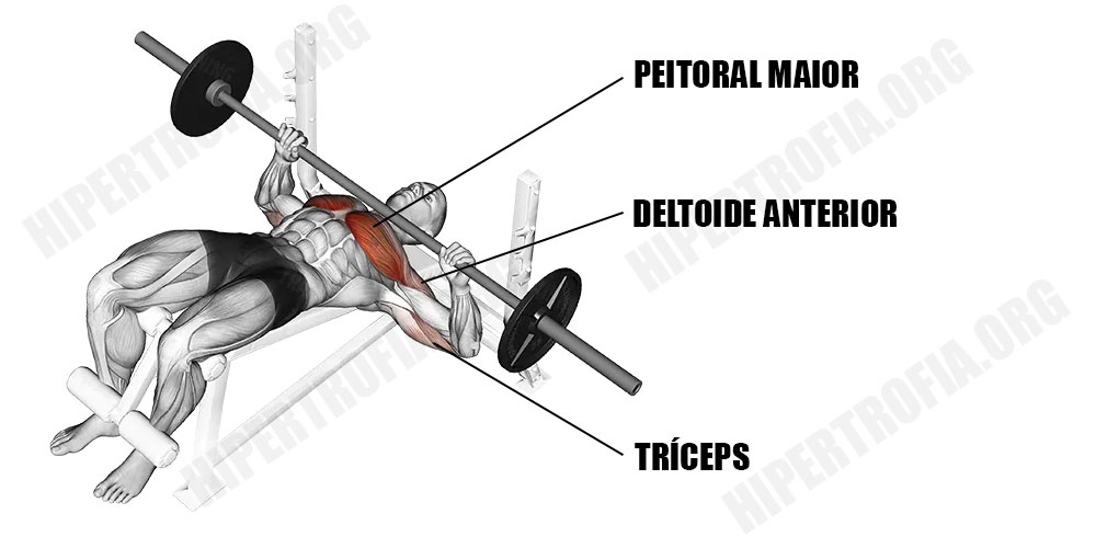 músculos recrutados pelo supino declinado