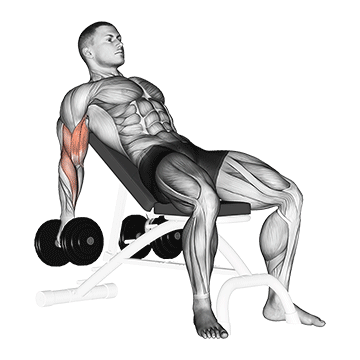 exercicios triceps e biceps