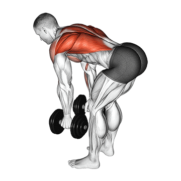 10 melhores exercícios de costas para hipertrofia