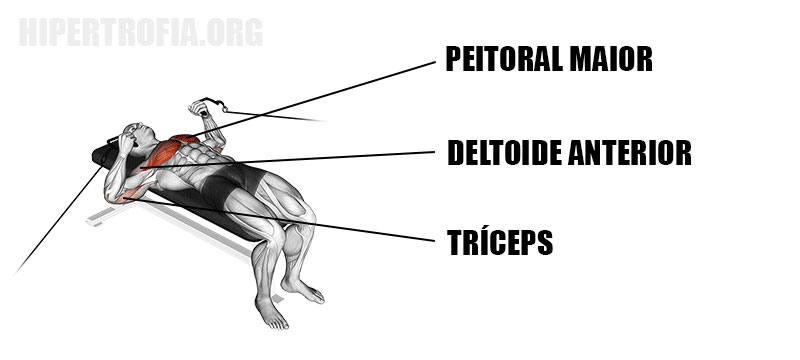 músculos recrutados durante o supino reto no cross