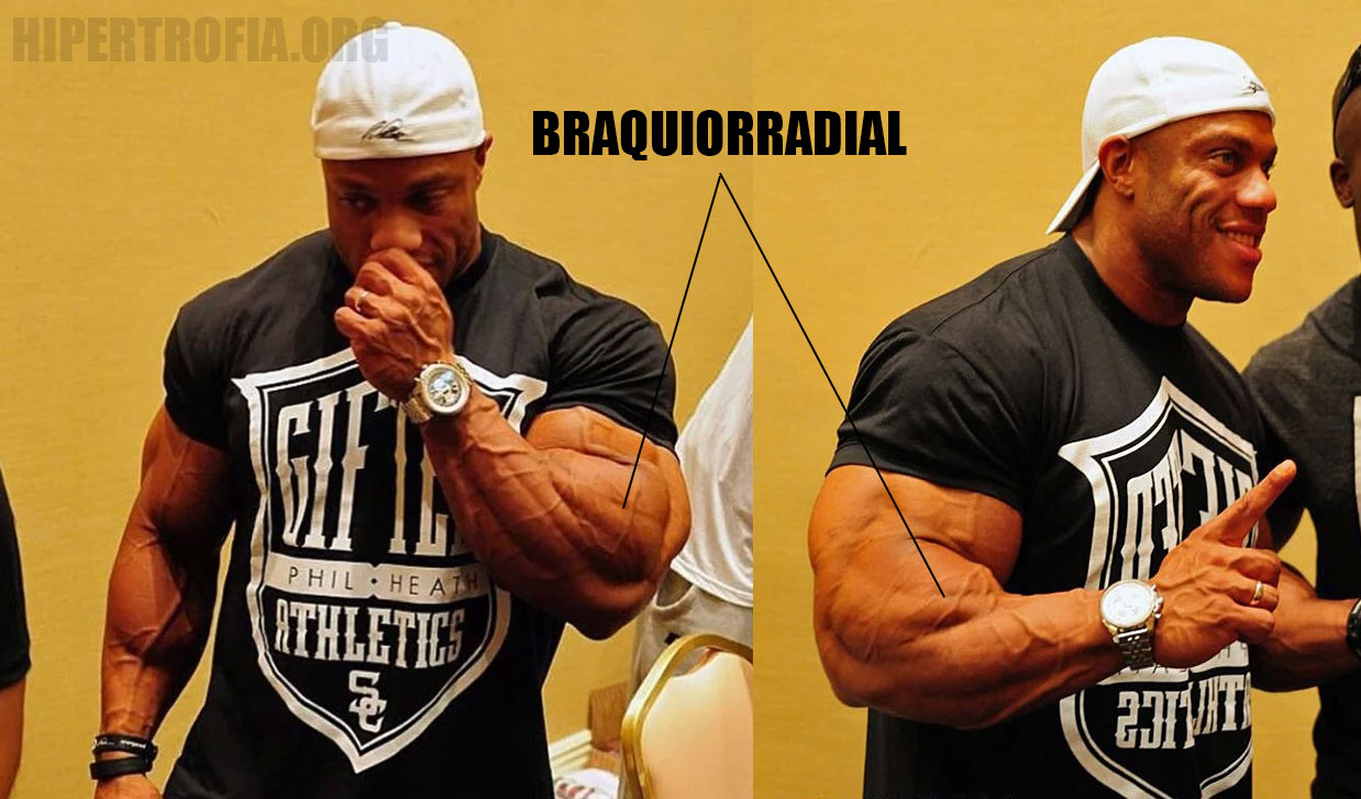 braquiorradial phil heath