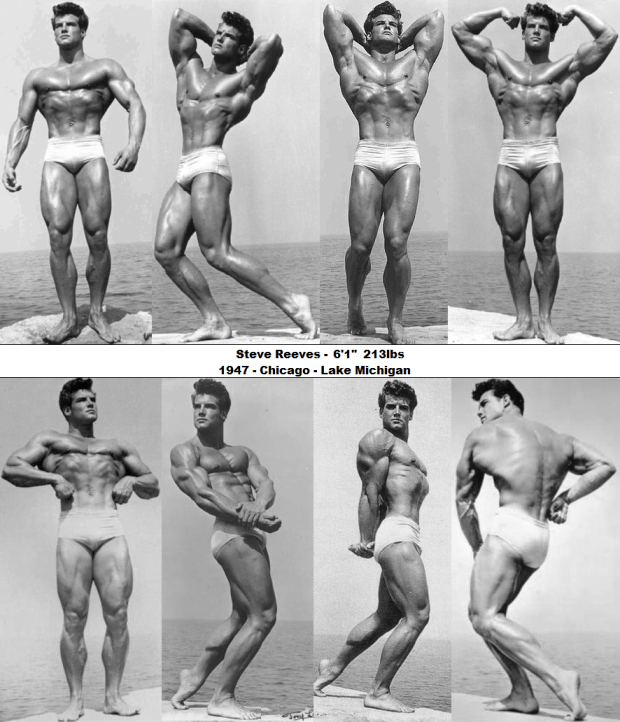 Fisiculturista Steve Reeves