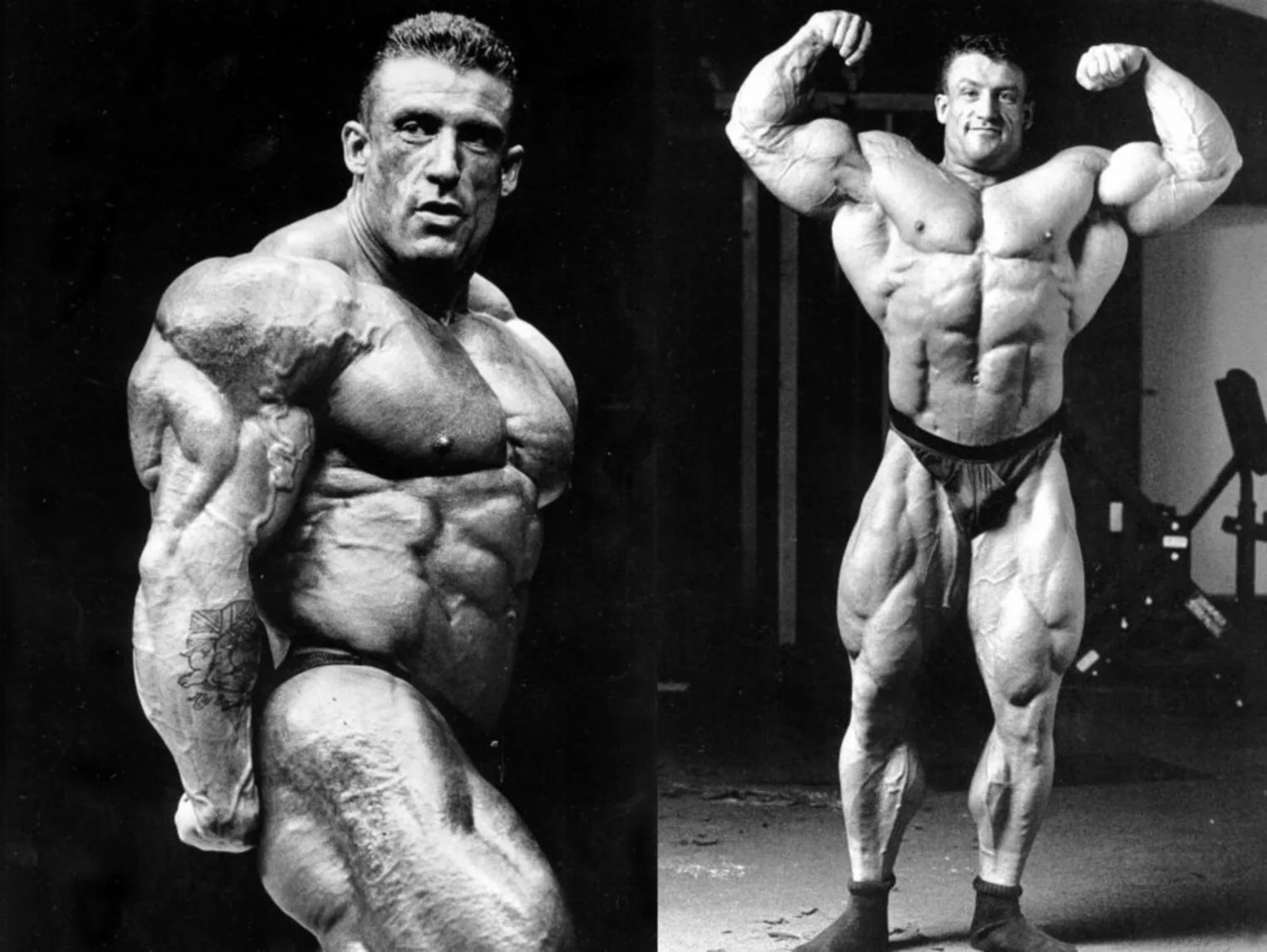 dorian yates