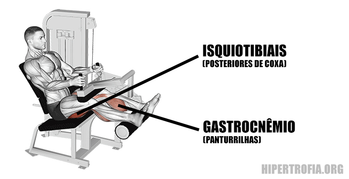 músculos usados flexora sentado