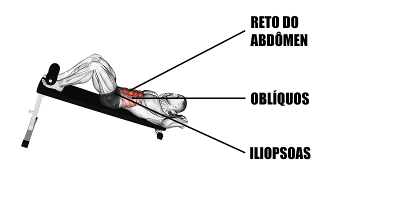 músculos usados durante o exercício abdominal declinado