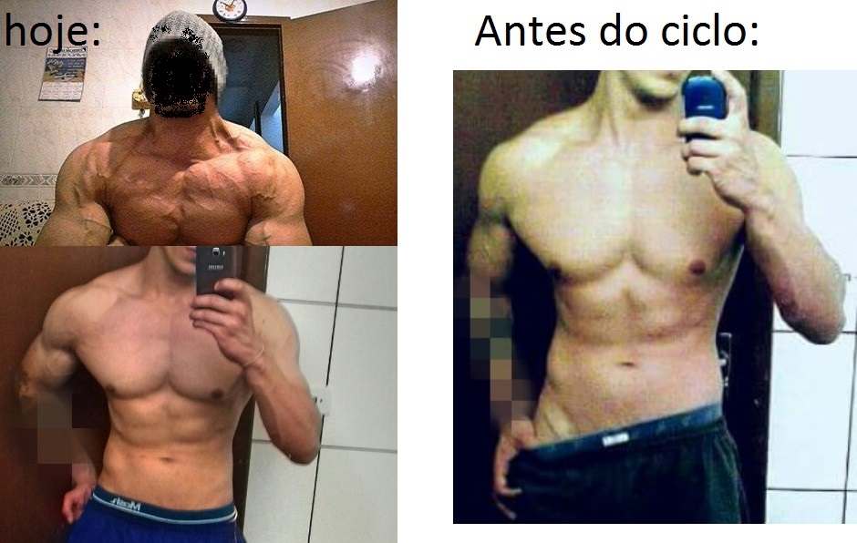 Bulking x Cutting (Dazzel) - Tópicos de evolução do shape