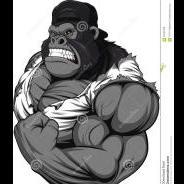 Gorilla_Bencher