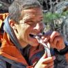 BearGrylls