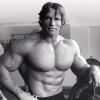 Arnold fitness